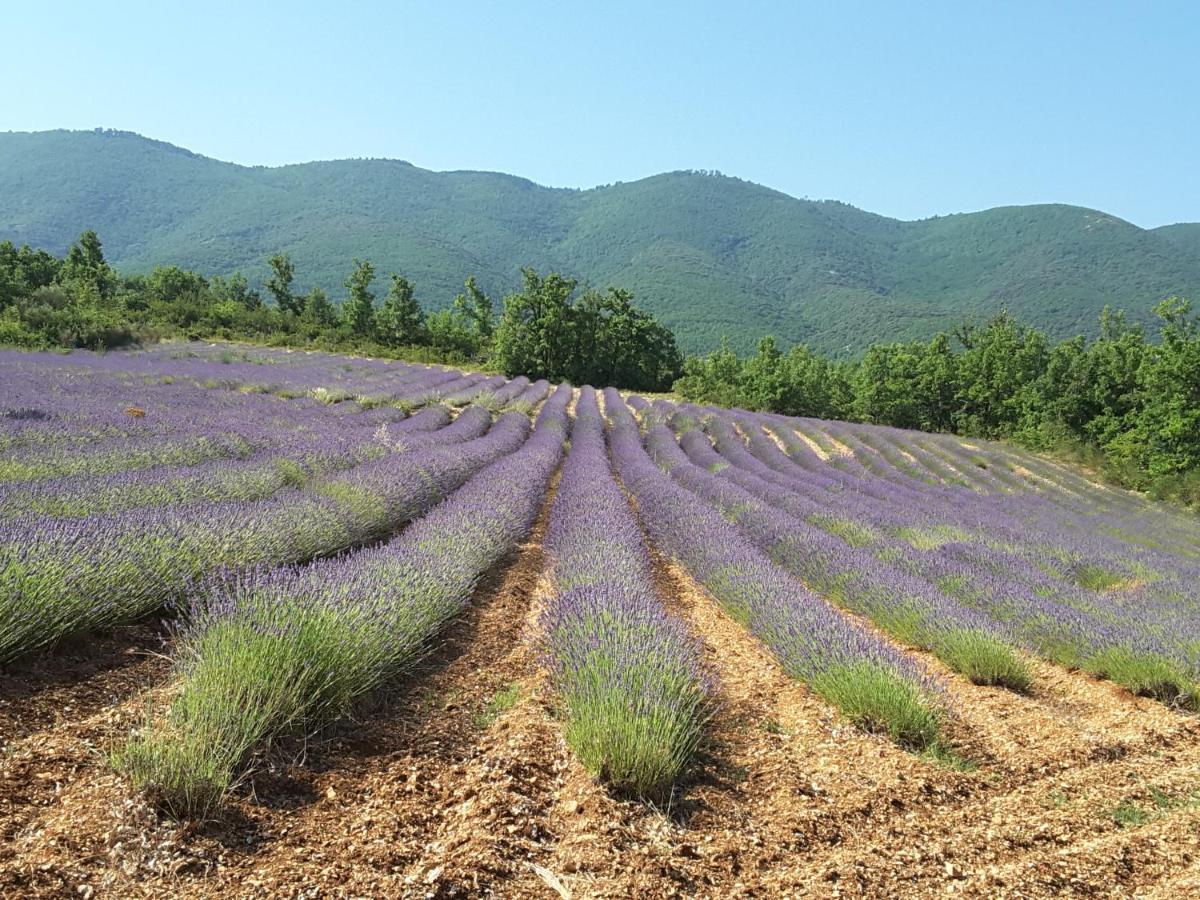 Hébergement de vacances Maison De Charme En Luberon, Jardin Clos Saint-Martin-de-Castillon